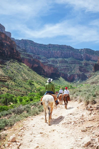 Caminata en el Gran Cañón —  Fotos de Stock