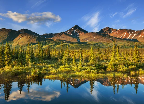 Sjön på alaska — Stockfoto