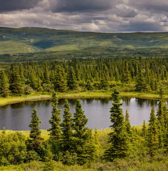 Lago no Alasca — Fotografia de Stock