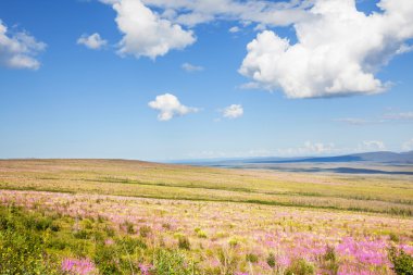 Tundra tarihinde alaska