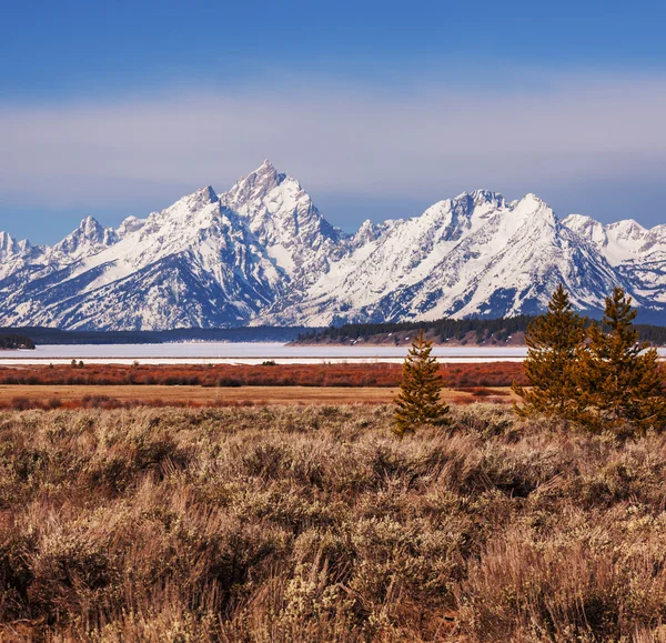 Gran Teton — Foto Stock