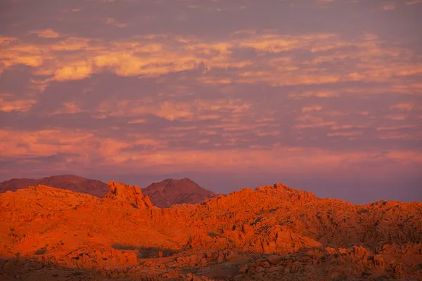 Gobi — Foto Stock