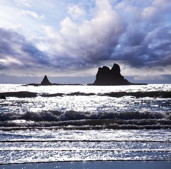 海の海岸 — ストック写真