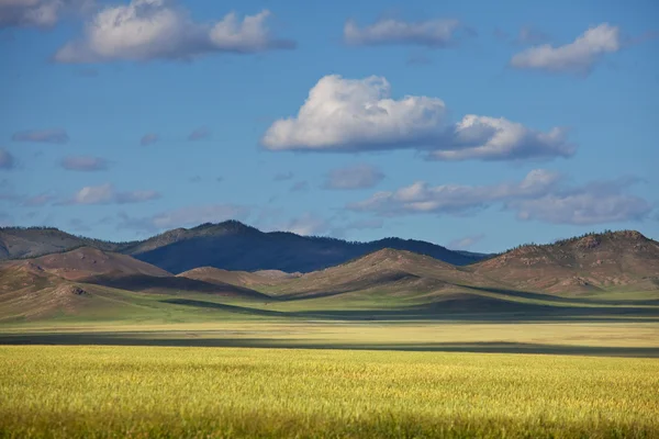 Prateria — Foto Stock