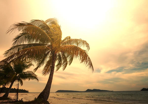 Playa tropical — Foto de Stock