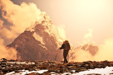 Himalaya zammı