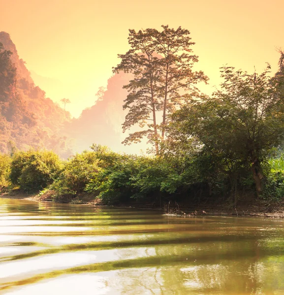 Vietnam'da orman — Stok fotoğraf