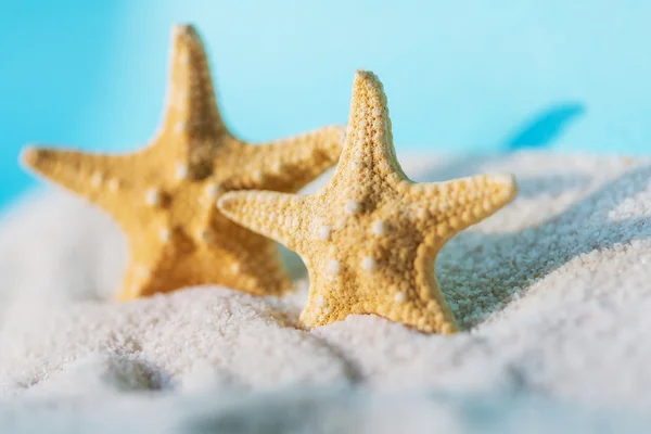 Starfish — Stock Photo, Image