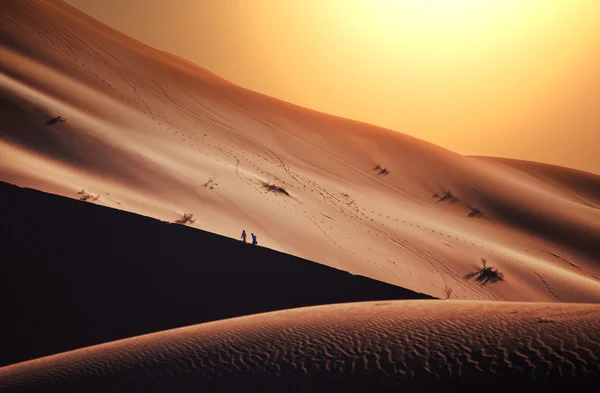 Desert — Stock Photo, Image