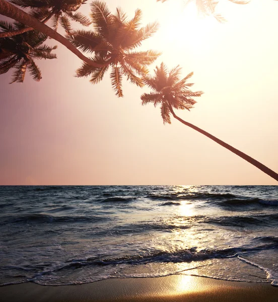 Playa tropical — Foto de Stock