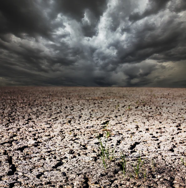 Посуха землі — стокове фото