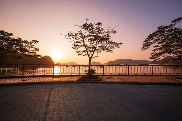 Halong. — Fotografia de Stock