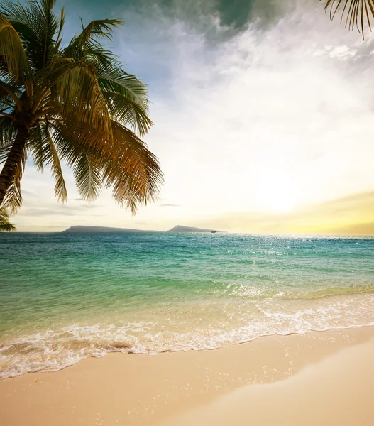 Spiaggia tropicale — Foto Stock