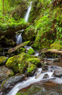 ormandaki Creek