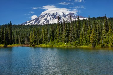 Mt.Rainier