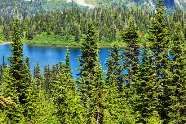 Lago in montagna — Foto Stock