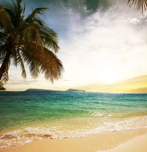 Playa tropical — Foto de Stock