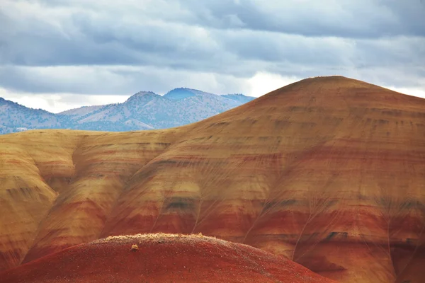 Colorfull hill — Stock Photo, Image