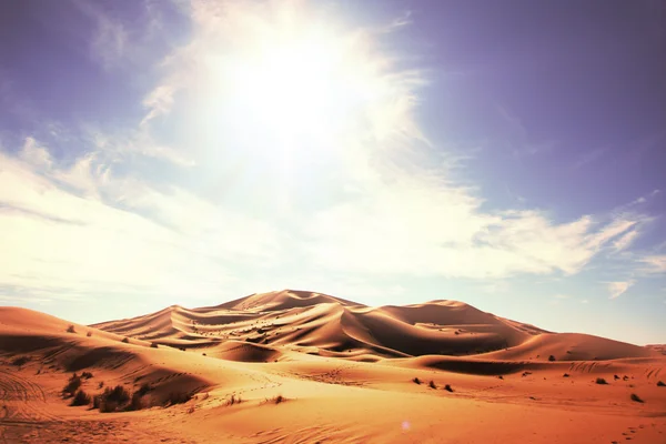 Desert — Stock Photo, Image