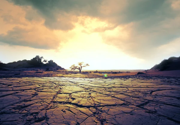 Droogte land — Stockfoto