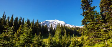 Mt.Rainier