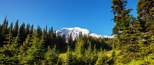 Mt.Rainier — Stockfoto