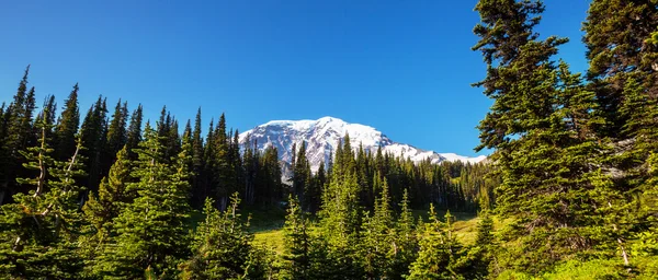 Mt.Rainier — ストック写真