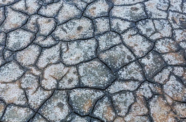 Drought land — Stock Photo, Image