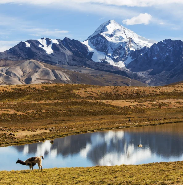 Mountains in Bolivia — Stock Photo, Image
