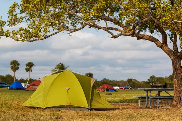 草地のテント — ストック写真