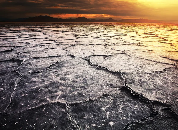 Drought — Stock Photo, Image