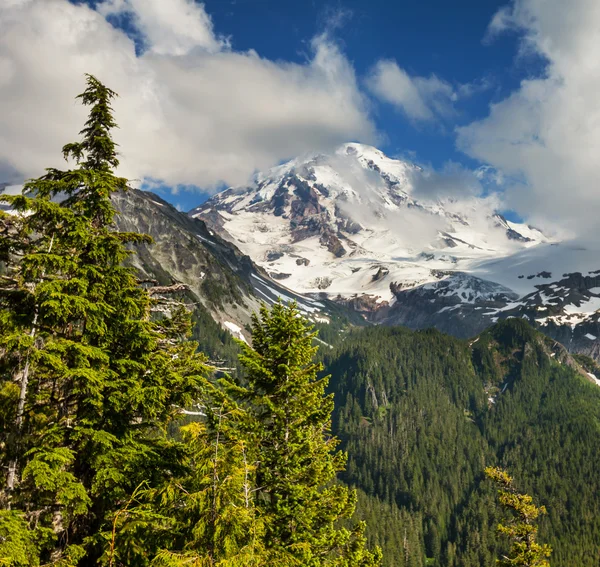 Mt.Rainier — Stockfoto