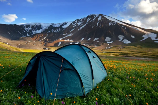 Tent in Bergen — Stockfoto