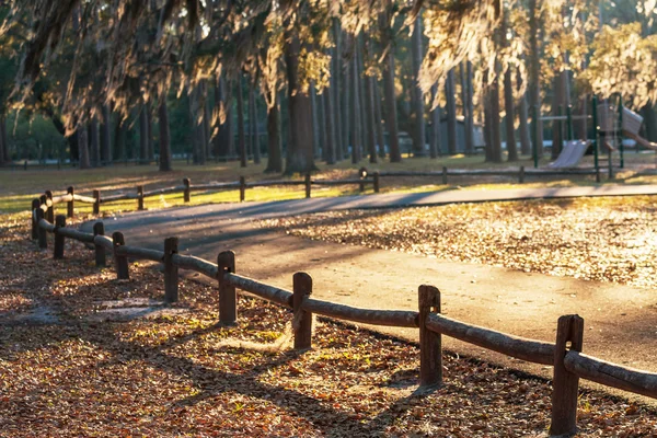 En el jardín — Foto de Stock