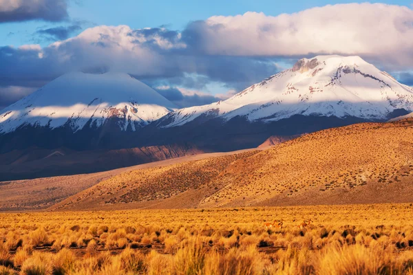 Montanhas em Bolívia — Fotografia de Stock