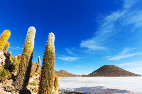 Salar de Uyuni — Foto de Stock