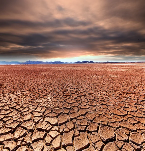 Droogte land — Stockfoto