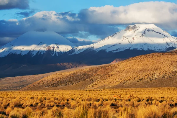 Montagne in Bolivia — Foto Stock