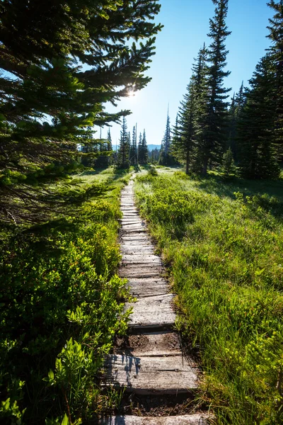 Boardwalk — Stock Photo, Image