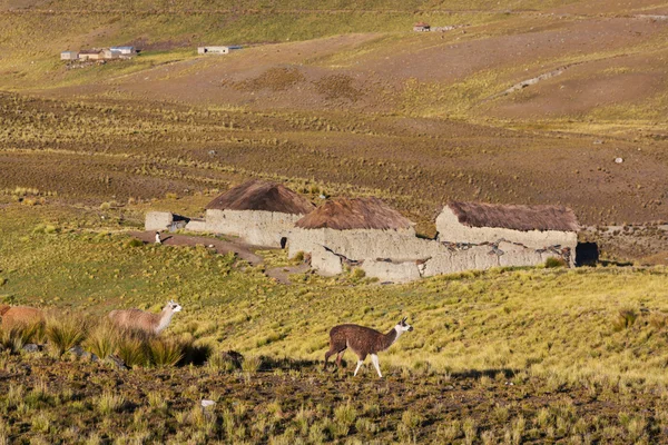 Dorf in Bolivien — Stockfoto