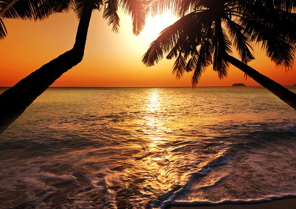 Tropical beach — Stock Photo, Image