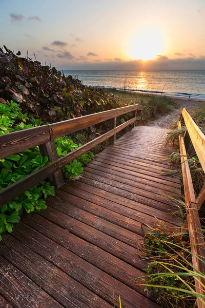 Passerella sulla spiaggia — Foto Stock