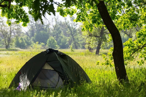 Tält i skogen — Stockfoto