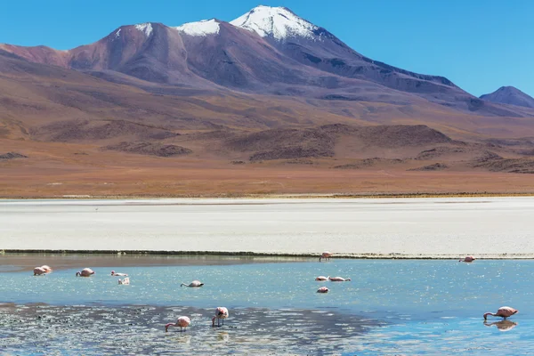 Mountains in Bolivia — Stock Photo, Image