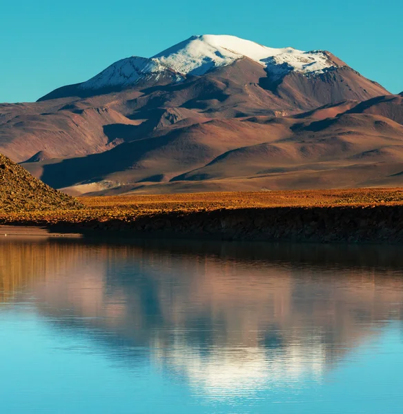 Bergen i bolivia — Stockfoto