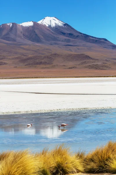 Pegunungan di Bolivia — Stok Foto