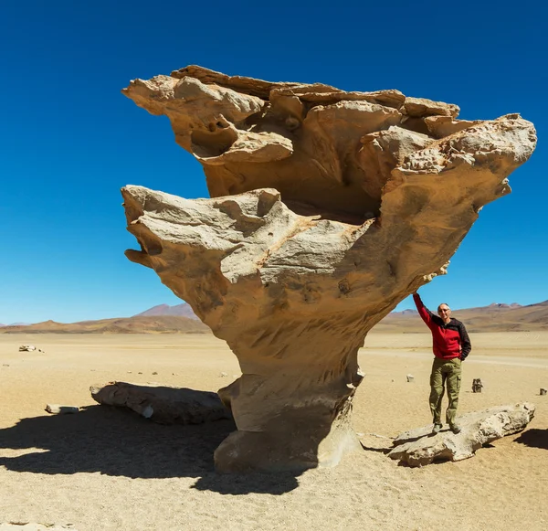 ダリ砂漠 — ストック写真