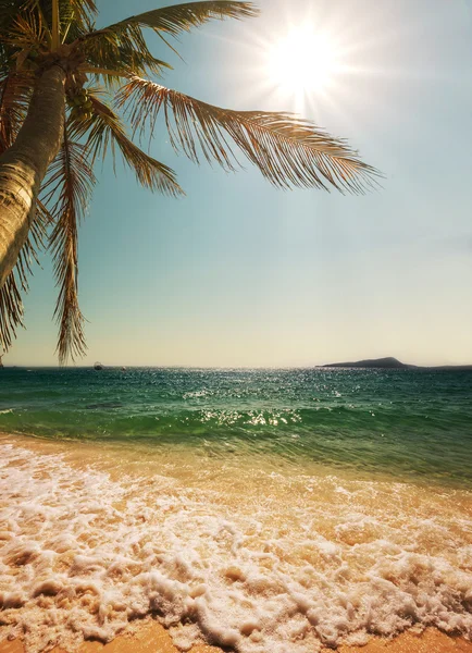 Playa tropical — Foto de Stock