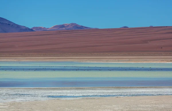 Berge in Bolivien — Stockfoto