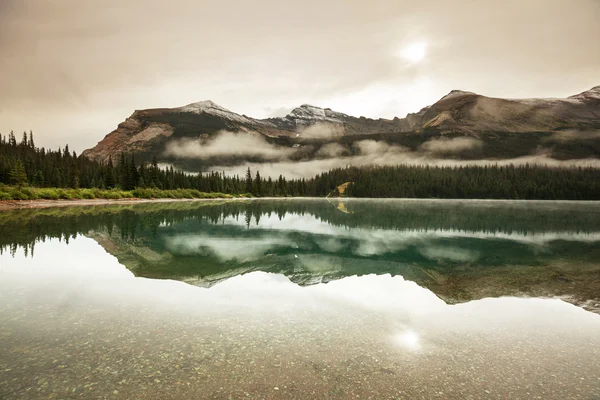 Glacier Park — Stock Photo, Image